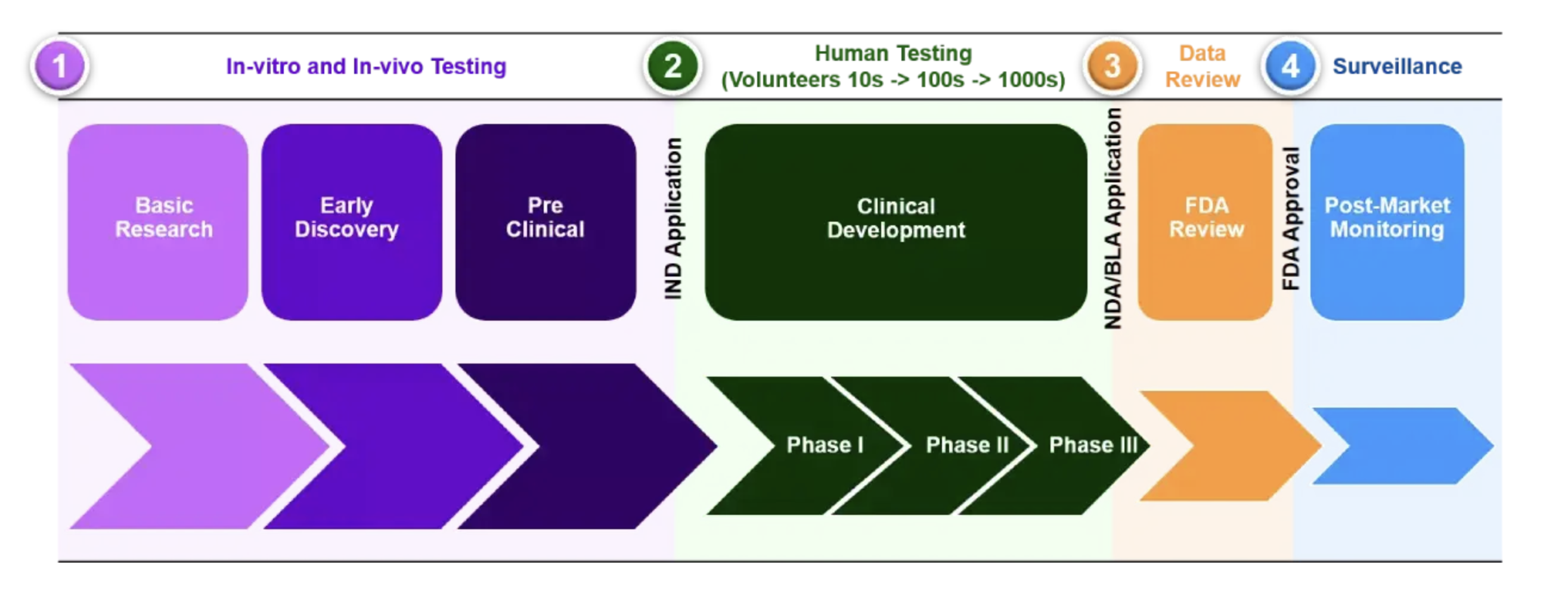 Drug Discovery